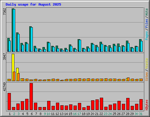 Daily usage for August 2025