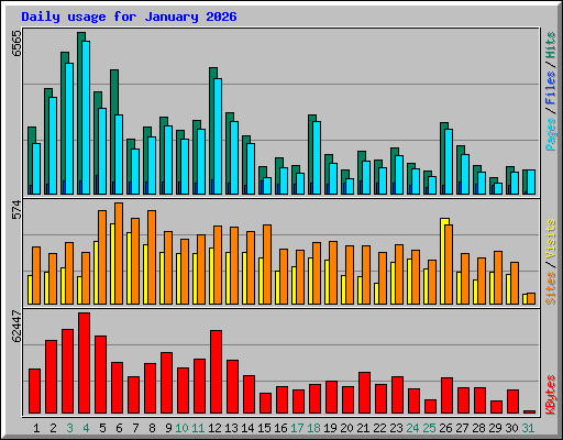 Daily usage for January 2026