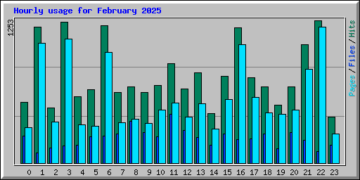 Hourly usage for February 2025