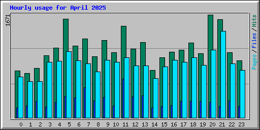 Hourly usage for April 2025