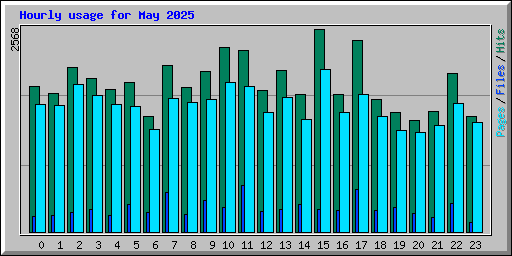 Hourly usage for May 2025