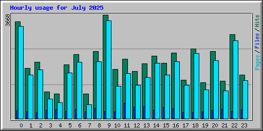 Hourly usage for July 2025