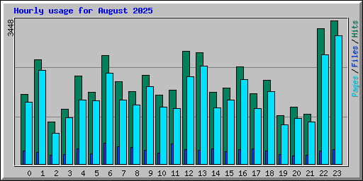Hourly usage for August 2025