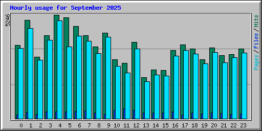 Hourly usage for September 2025