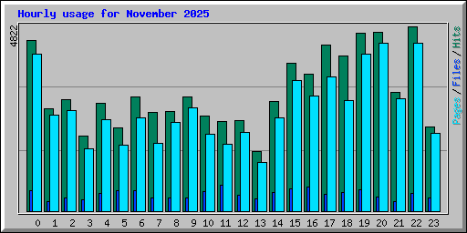 Hourly usage for November 2025
