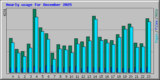 Hourly usage for December 2025