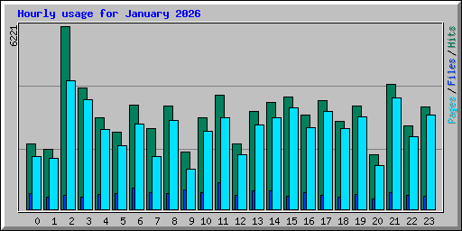 Hourly usage for January 2026