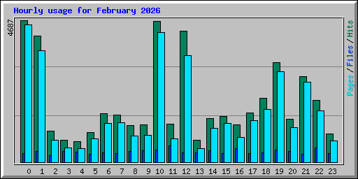 Hourly usage for February 2026