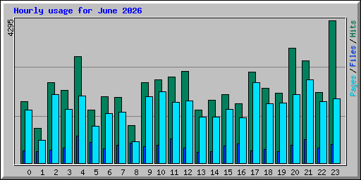 Hourly usage for June 2026