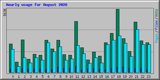 Hourly usage for August 2026
